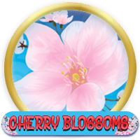 Cherry Blossoms